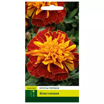 семена Бархатцы Констанция гибридные СЕВЕРНЫЙ ОГОРОД 0,2г