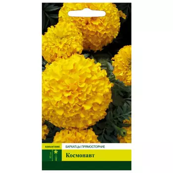семена Бархатцы Космонавт прямостоячие СЕВЕРНЫЙ ОГОРОД 0,3г