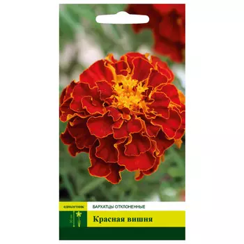 семена Бархатцы Красная вишня отклоненые СЕВЕРНЫЙ ОГОРОД 0,3г