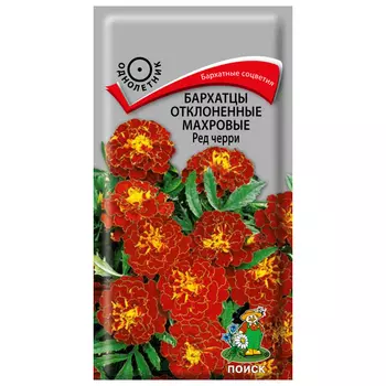семена Бархатцы Ред черри ПОИСК 0,3г отклоненные махровые