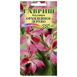 семена Баухиния орхидейное дерево 3шт