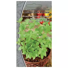 семена Базилик Сибирский карлик 0,5г