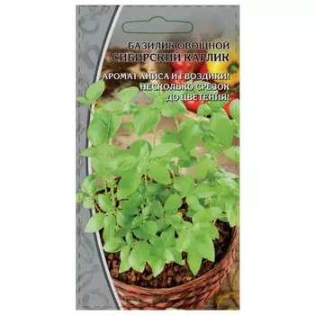 семена Базилик Сибирский карлик 0,5г