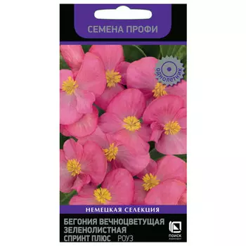 семена Бегония Спринт плюс Роуз вечноцветущая зеленолистная ПОИСК 10шт