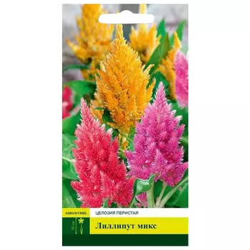семена Целозия Лиллипут микс 0,1г