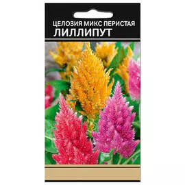 семена Целозия перистая Лиллипут микс 0,1г