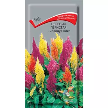 семена Целозия перистая Лиллипут микс ПОИСК 0,1г