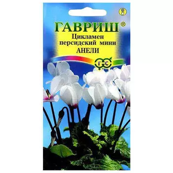 семена Цикламен Анели персидский 3шт