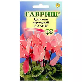 семена Цикламен Халиф персидский 3шт
