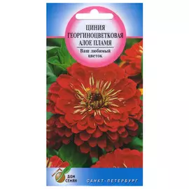семена Циния Алое пламя 37шт