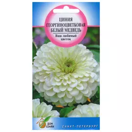 семена Цинния Белый Медведь 35шт