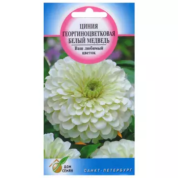 семена Цинния Белый Медведь ДОМ СЕМЯН 0,42г