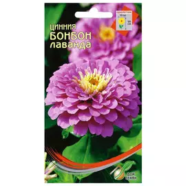 семена Цинния Бонбон лаванда 24шт