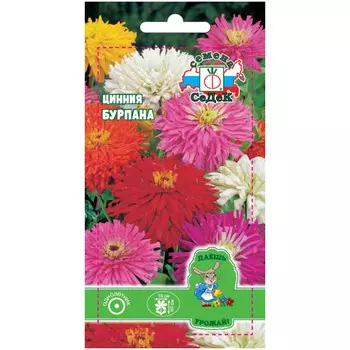 семена Цинния Бурпана СЕДЕК 0,3г