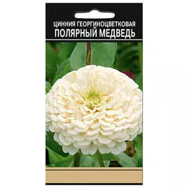 семена Цинния Полярный медведь георгиноцветковая 0,3г