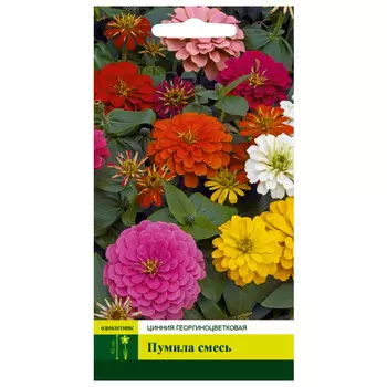 семена Цинния Пумила смесь георгиноцветровая СЕВЕРНЫЙ ОГОРОД 0,3г