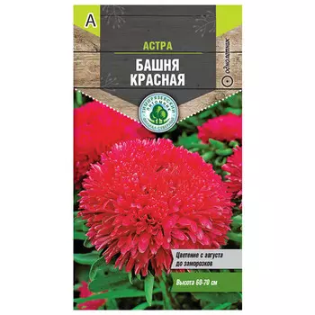 семена астра Башня красная пионовидная 0,2г