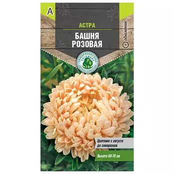 семена астра Башня розовая пионовидная 0,2г