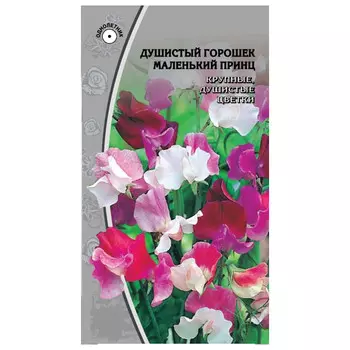 семена Душистый горошек Маленький принц 0,5г