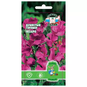 семена Душистый горошек Пезаро красный СЕДЕК 0,5г