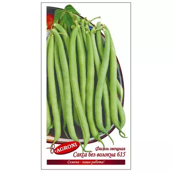семена фасоль Сакса без волона 615 АГРОНИ 5г