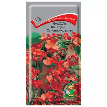 семена Фасоль вьющаяся Огненно-красная ПОИСК 5шт