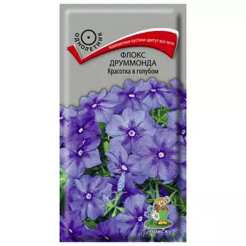 семена Флокс Красотка в голубом ПОИСК 0,1г друммонда