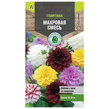 семена Георгина Махровая смесь 0,2г