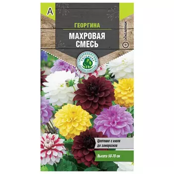 семена Георгина Махровая смесь 0,2г
