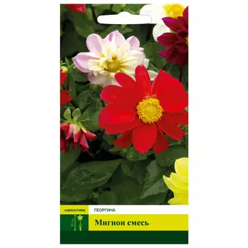 семена Георгина Мигнон смесь СЕВЕРНЫЙ ОГОРОД 0,2г