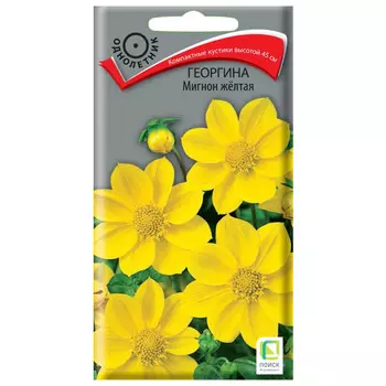 семена Георгина Мигнон желтая ПОИСК 0,2г