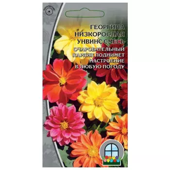 семена Георгина Унвинс смесь 0,1г