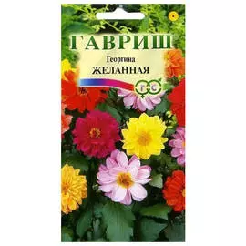 семена Георгина Желанная 3г смесь