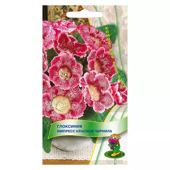 семена Глоксиния импресс красные чернила ПОИСК 5шт