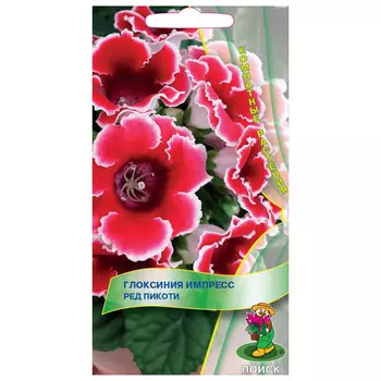 семена Глоксиния импресс Ред Пикоти ПОИСК 5шт