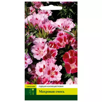 семена Годеция махровая Азалиецветковая смесь СЕВЕРНЫЙ ОГОРОД 0,2г