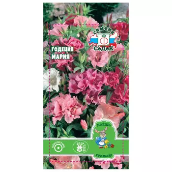 семена Годеция Мария крупноцветковая СЕДЕК 0,1г