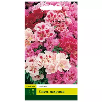 семена Годеция Смесь махровая СЕВЕРНЫЙ ОГОРОД 0,2г