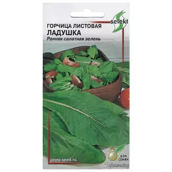 семена горчица салатная Ладушка 350шт