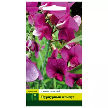 семена Горошек душистый Пурпурный жемчуг СЕВЕРНЫЙ ОГОРОД 0,3г
