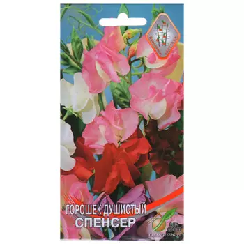 семена Горошек душистый Спенсер 10шт