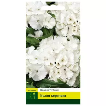 семена Гвоздика Белая королева Турецкая 0,2г