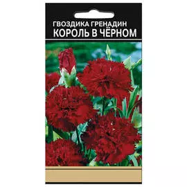 семена Гвоздика гренадин Король в черном 0,1 г