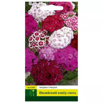 семена Гвоздика Индийский ковёр турецкая смесь 0,2г