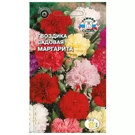 семена Гвоздика Маргарита садовая смесь