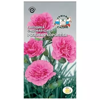 семена Гвоздика Розовая королева