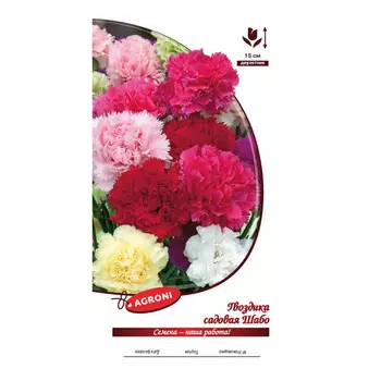 семена Гвоздика садовая Шабо микс АГРОНИ 0,3г