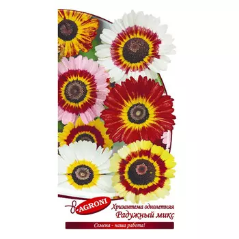 семена Хризантема Радужный микс АГРОНИ 0,3г