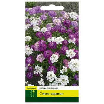 семена Иберис зонтичный Смесь окрасок 0,3г
