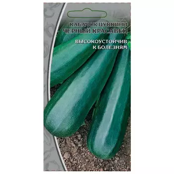 семена кабачок Черный красавец 1г